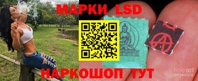 ALPHA PVP Будённовск