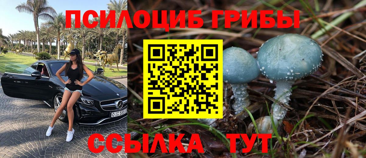 Копейск  Псилоцибиновые грибы мицелий  где продают наркотики  Вход с VPN 