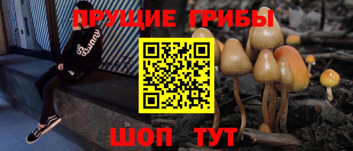 Псилоцибиновые грибы MAGIC MUSHROOMS Копейск