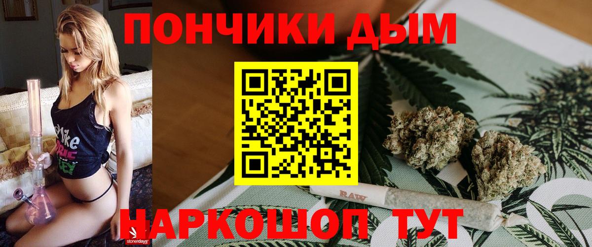 Копейск  Бошки марихуана план  Бошки марихуана White Widow  Канабис тримм  Марихуана Bruce Banner  Вход с VPN 